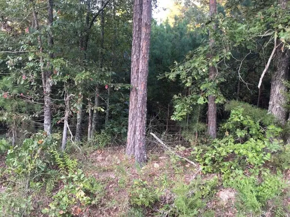 0 Sidney Rd, Evening Shade, AR 72532