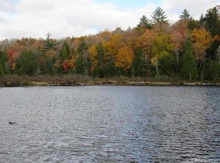 LOT 13 E Fence Lake Dr LOT 13, Michigamme, MI 49861