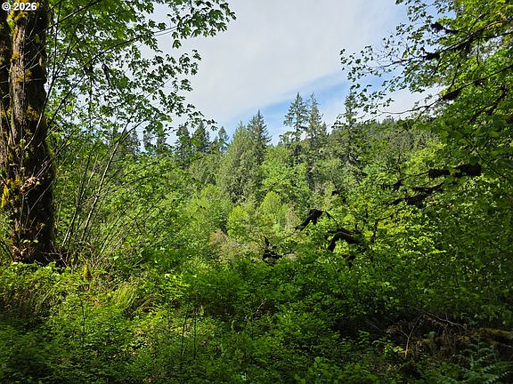 3rd image of Lewis Cemetery Rd