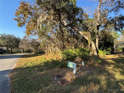 21 Livingstone Daisy Ct, Homosassa, FL, 34446