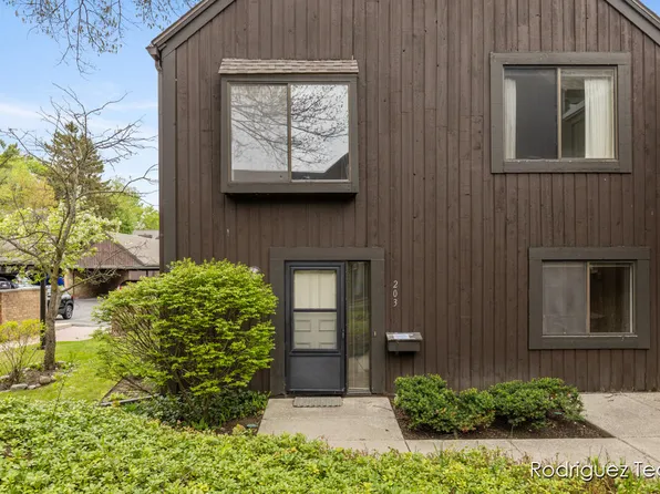 203 Paisley Ct, Kalamazoo, MI 49006