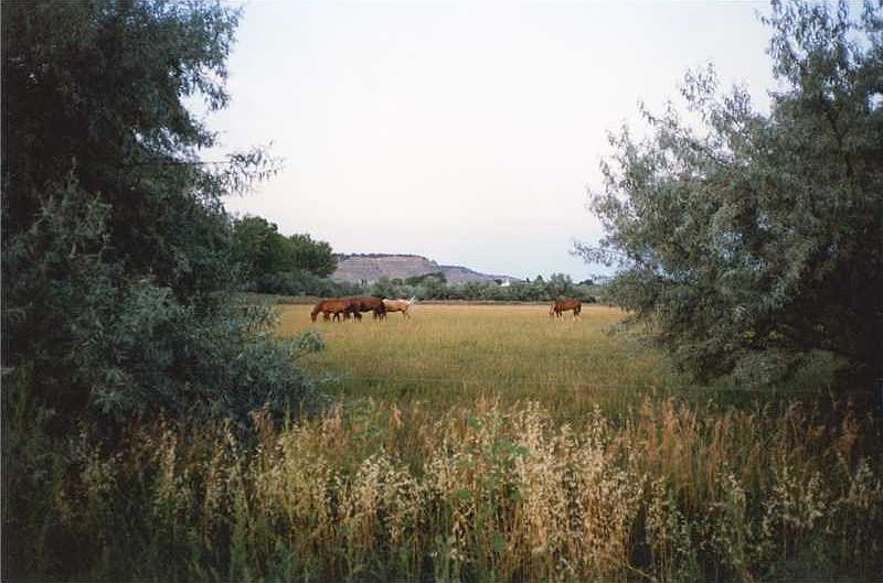 1st image of Rimrock Rd