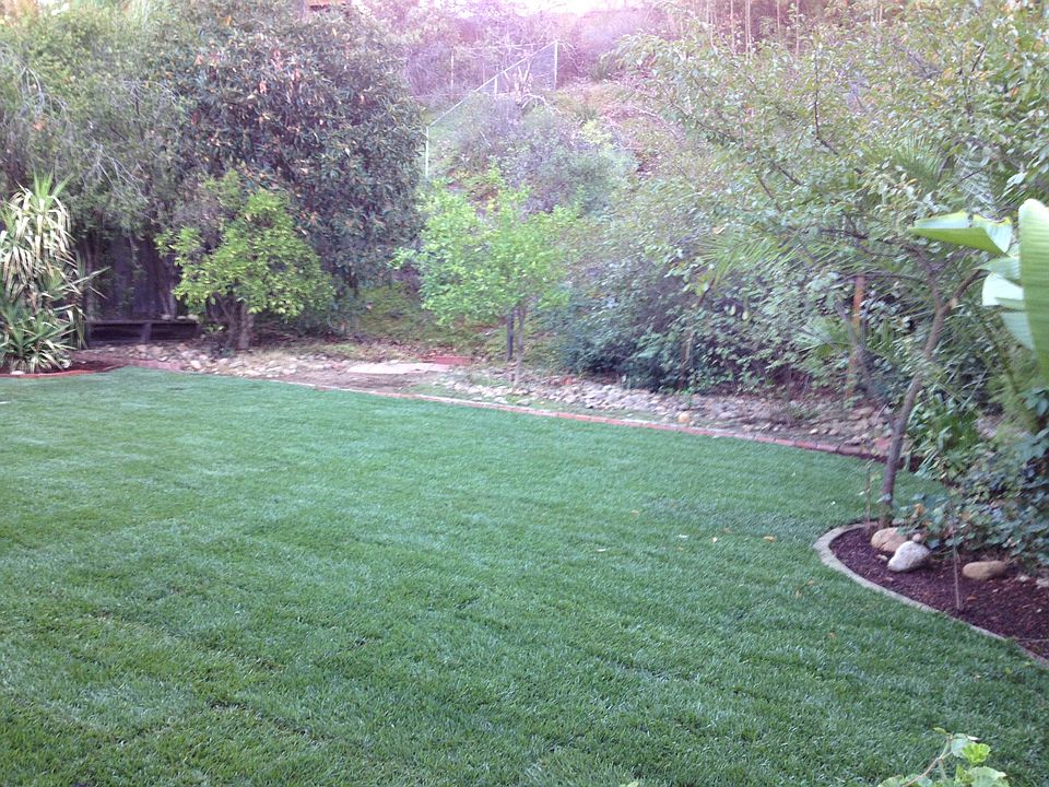 Large Private backyard