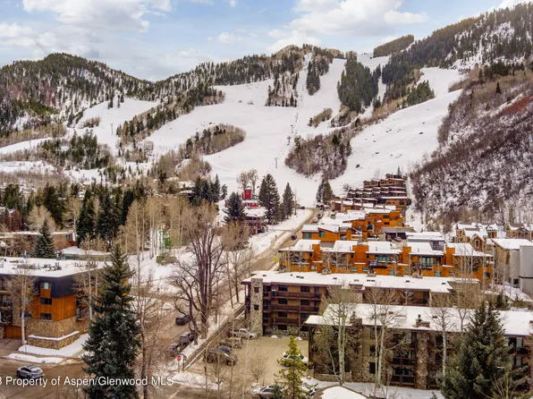 131 E Durant Ave #101, Aspen, CO 81611