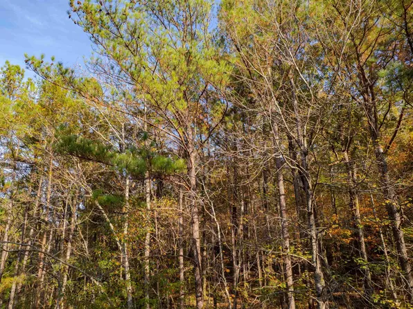 0 Lakeshore Dr #17, Oneonta, AL 35121