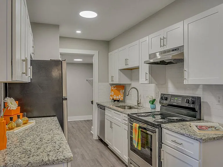 The Pointe at Bailey Cove — Photo 7