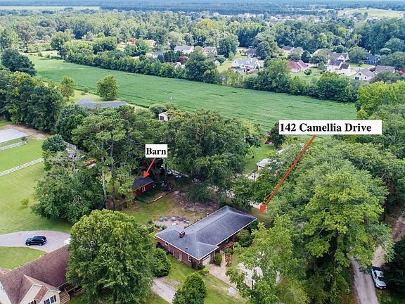 3rd image of 142 Camellia Dr