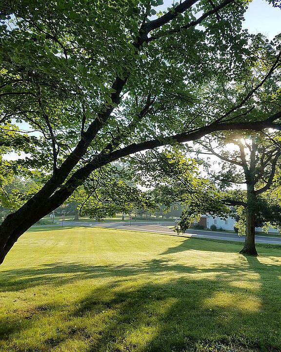 View from the front yard.
