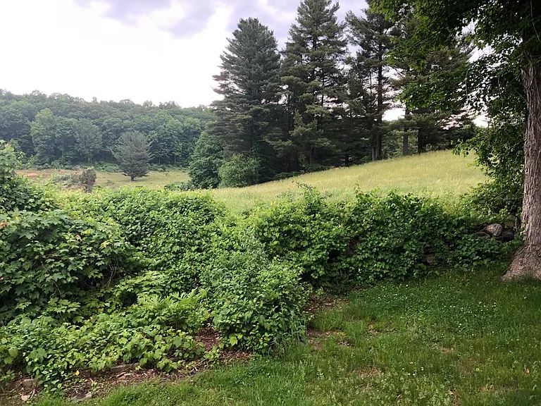 1002 Stafford Rd — Photo 6