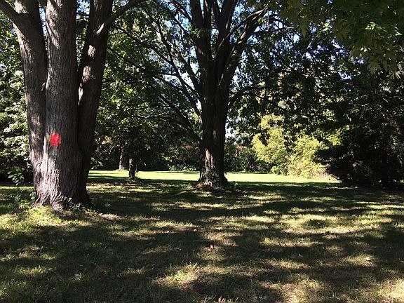 View looking toward back 