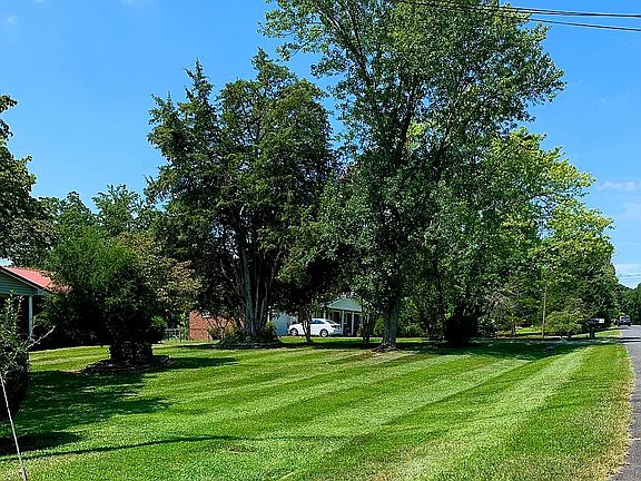 Front yard