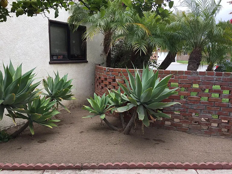 6361 San Marino Cir — Photo 11