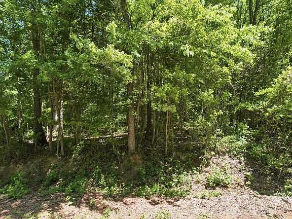 3rd image of 0 Perry Rd