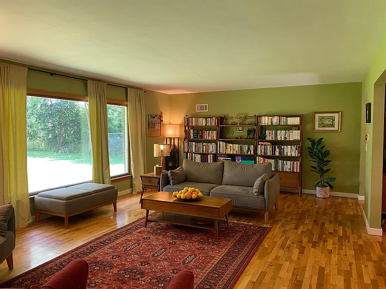 Living room (furnished view)