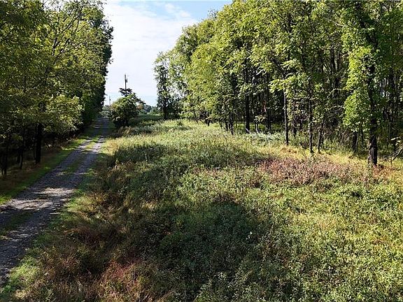 2nd image of LOT 1 River Hill Rd