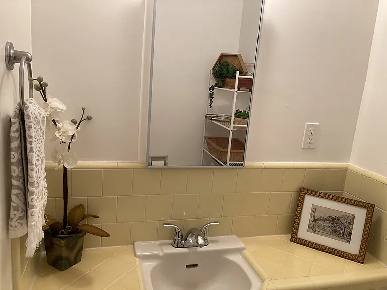 Bathroom Sink