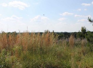 11049 Shadow Ct #53, Hampton, GA 30228