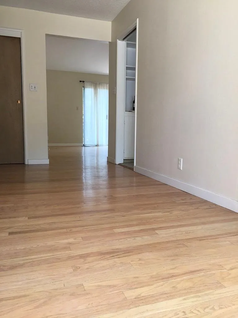 48 Tampa Dr — Photo 4