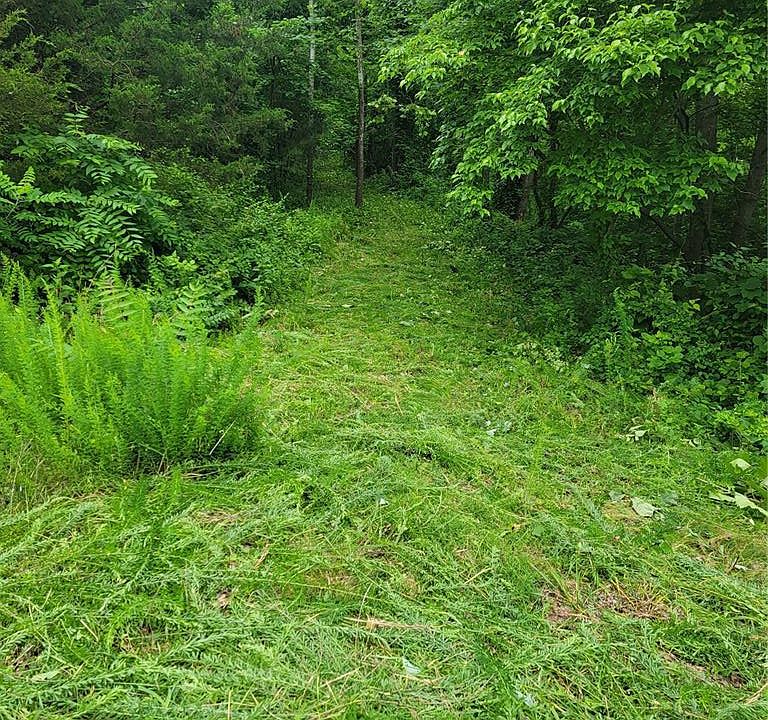 1st image of 436 Lower Hollow Ln