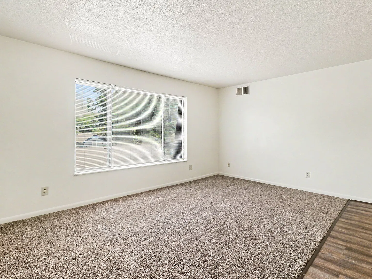 2 bed, 650 sqft, $800 — Photo 3