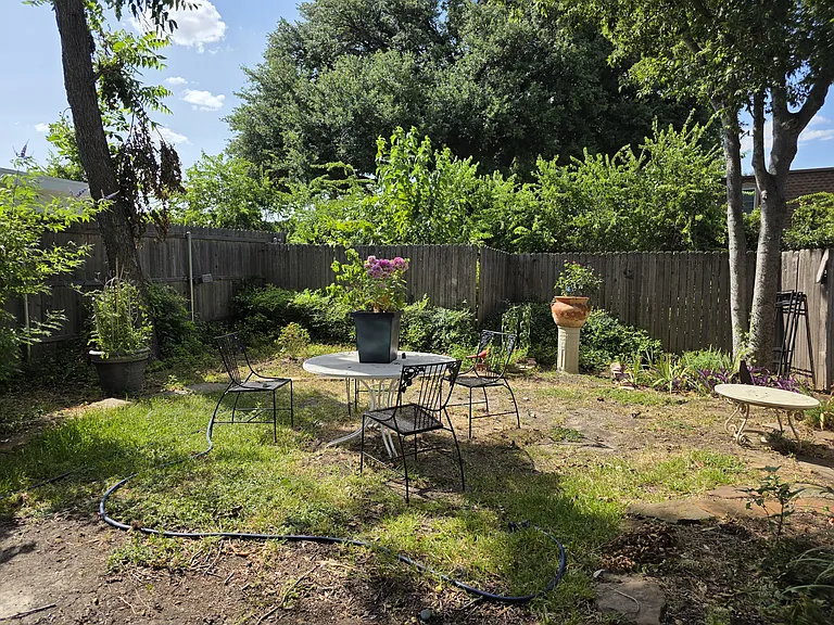 Back yard