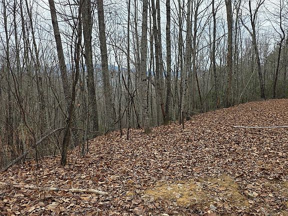 3rd image of 35AC Ducks Nest Rd