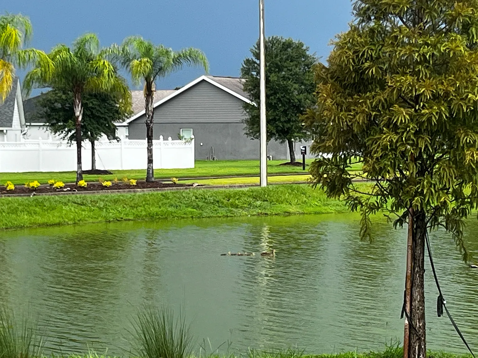 4 bed, 2.0 bath, 1819 sqft, $2,295 — Photo 2
