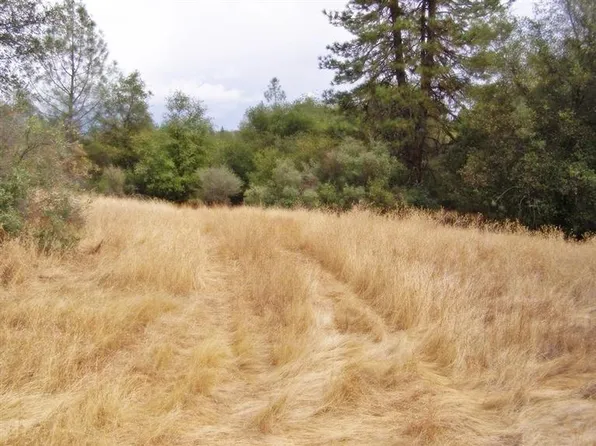 13998 Willow Glen Rd, Oregon House, CA 95962
