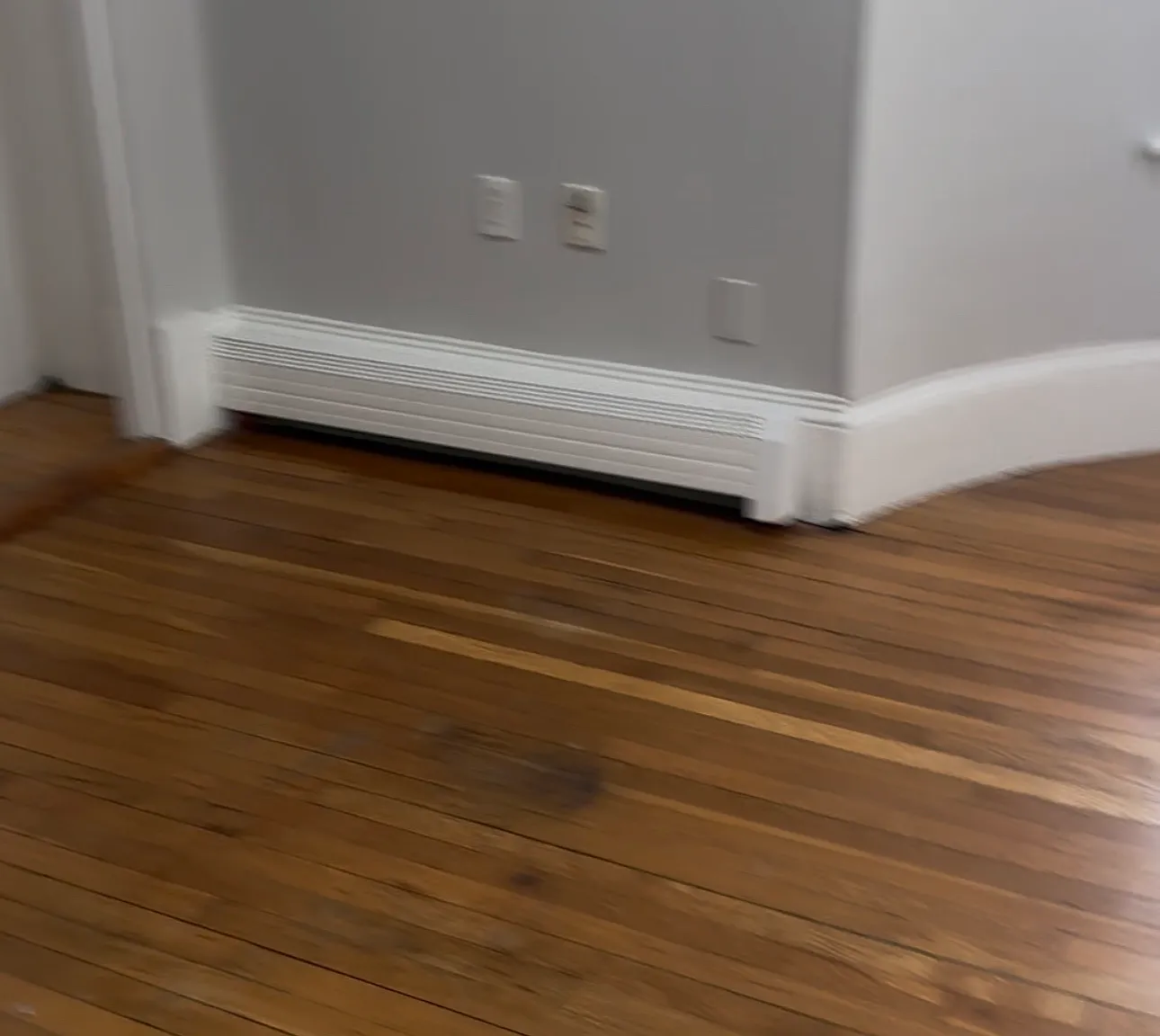 1 bed, $1,250 — Photo 4