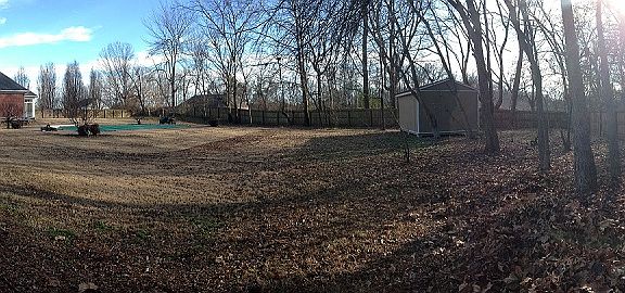 Front right of backyard