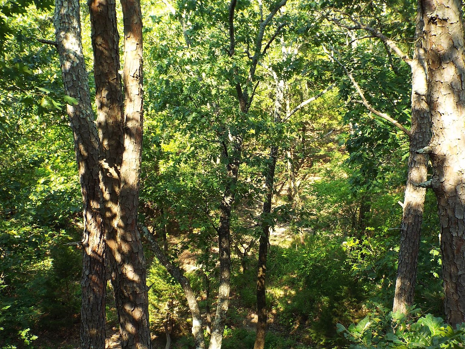 10 N Tram Rd, Fort Towson, OK 74735 MLS 11222284 Zillow