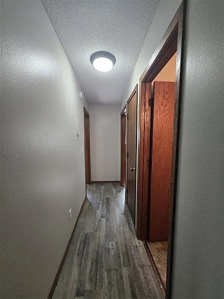 2 bed, 1.0 bath, 800 sqft, $750 — Photo 3