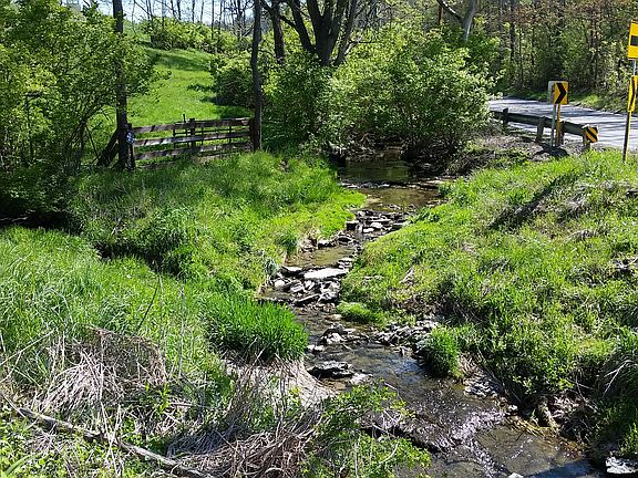 A creek runs through the pro