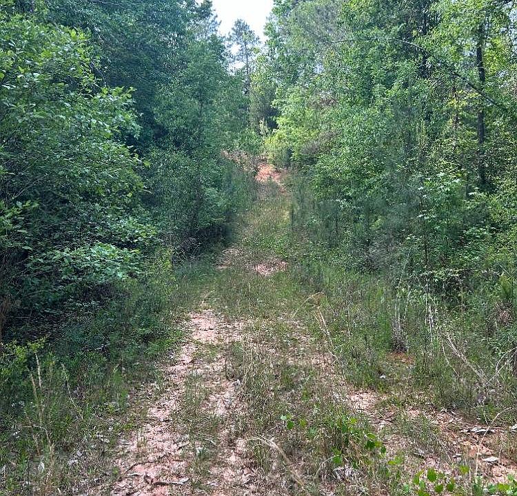 1st image of 0 Raymond Loop Rd