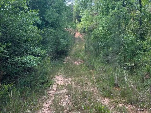 0 Raymond Loop Rd, Dozier, AL 36028