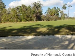 19611 SW Sterling Bluff Way, Brooksville, FL 34601