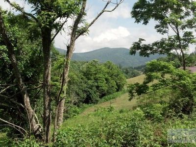 Tbd Bald Mountain Road, West Jefferson, NC, 28694