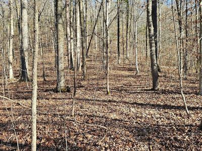 Na Griffith Hwy, Whitwell, TN, 37397