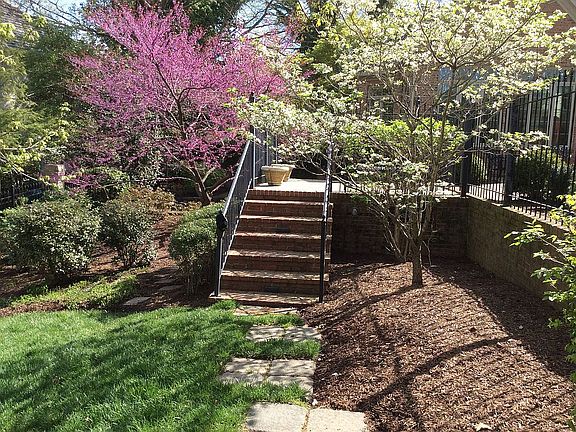 Side yard landscaping