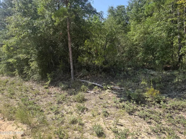 LOT 19 Dorcas Rd, Marianna, FL 32448