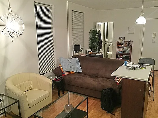 Rented by Rapid Realty Cobble Hill | media 35