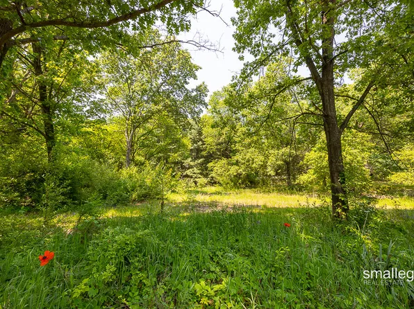 13390 Stacey St NE, Greenville, MI 48838
