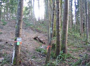 17508 Clear Lake Blvd SE, Yelm, WA 98597