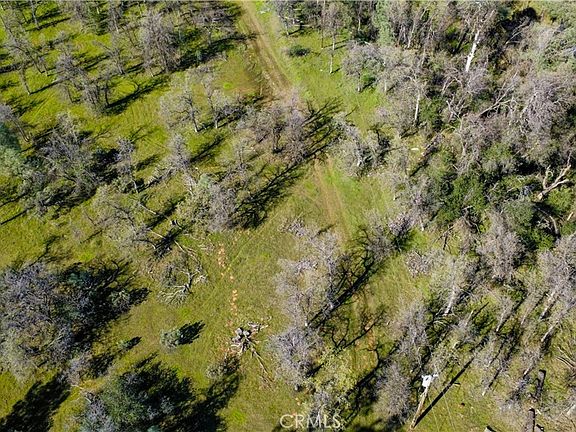 3rd image of 17229 Treat Ave