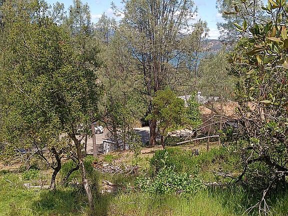 Lakeview through the trees!