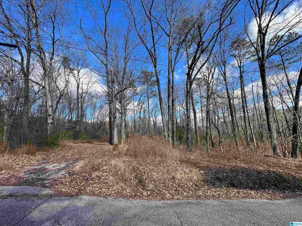 6020 Elm Ave #79, Pinson, AL 35126