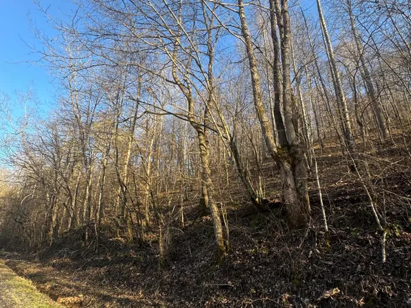 9999 E Crawfish Rd, Manchester, KY 40962