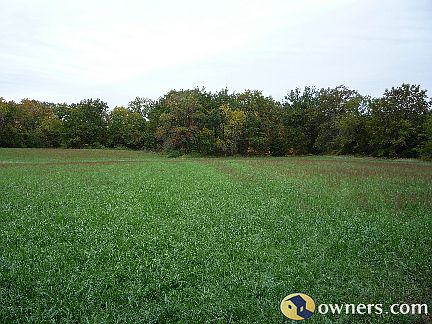 Second pasture