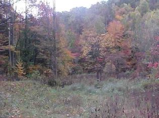 3460 Spring Branch Way, Cosby, TN 37722