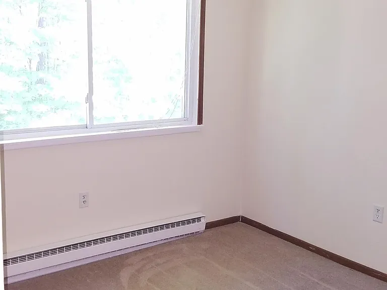 Rear Bedroom - overlooking the nature-filled backyard